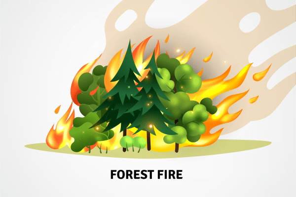 10 Lines On Forest Fire