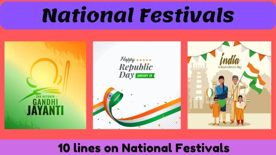 essay of national festival