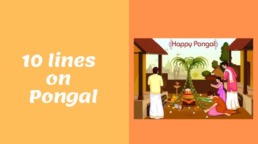 what is pongal in hindi essay