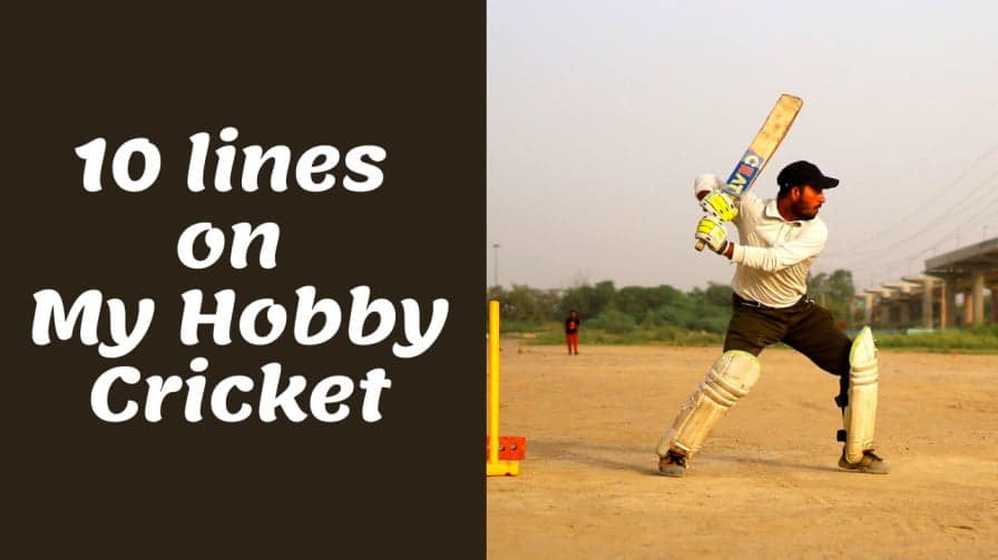 my hobby essay on cricket