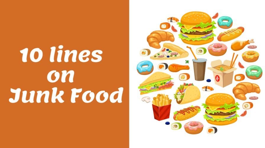 say no to junk food essay for class 1