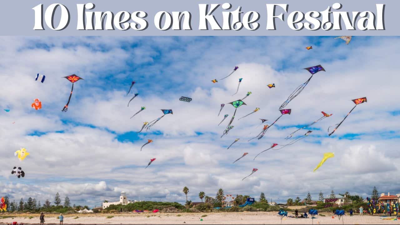 kite festival essay 10 lines