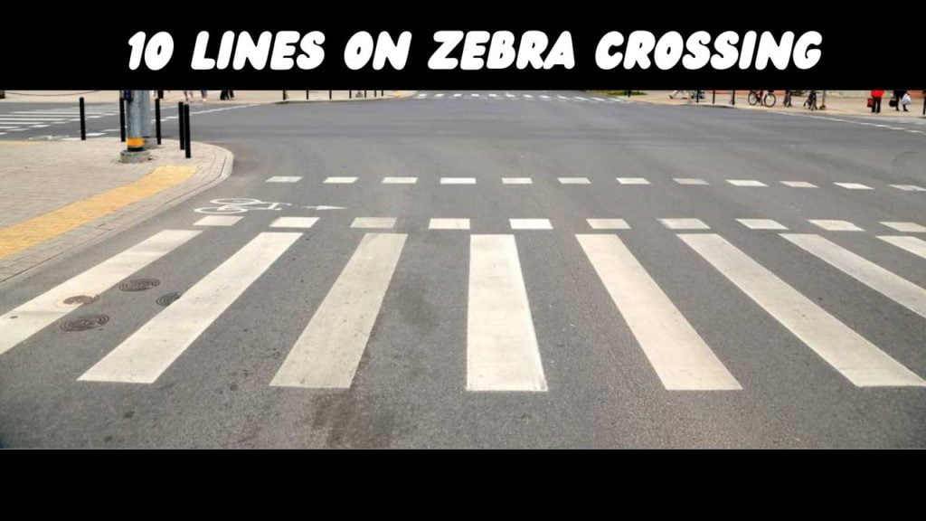 10 lines on Zebra Crossing in English Knowledgedo