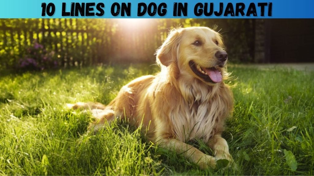 essay about dog in gujarati