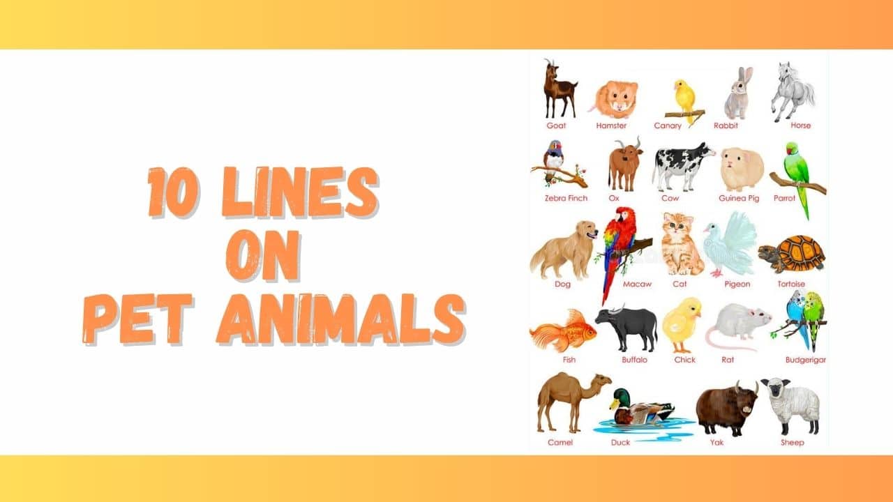 10 lines on Pet Animals for Students - Knowledgedo