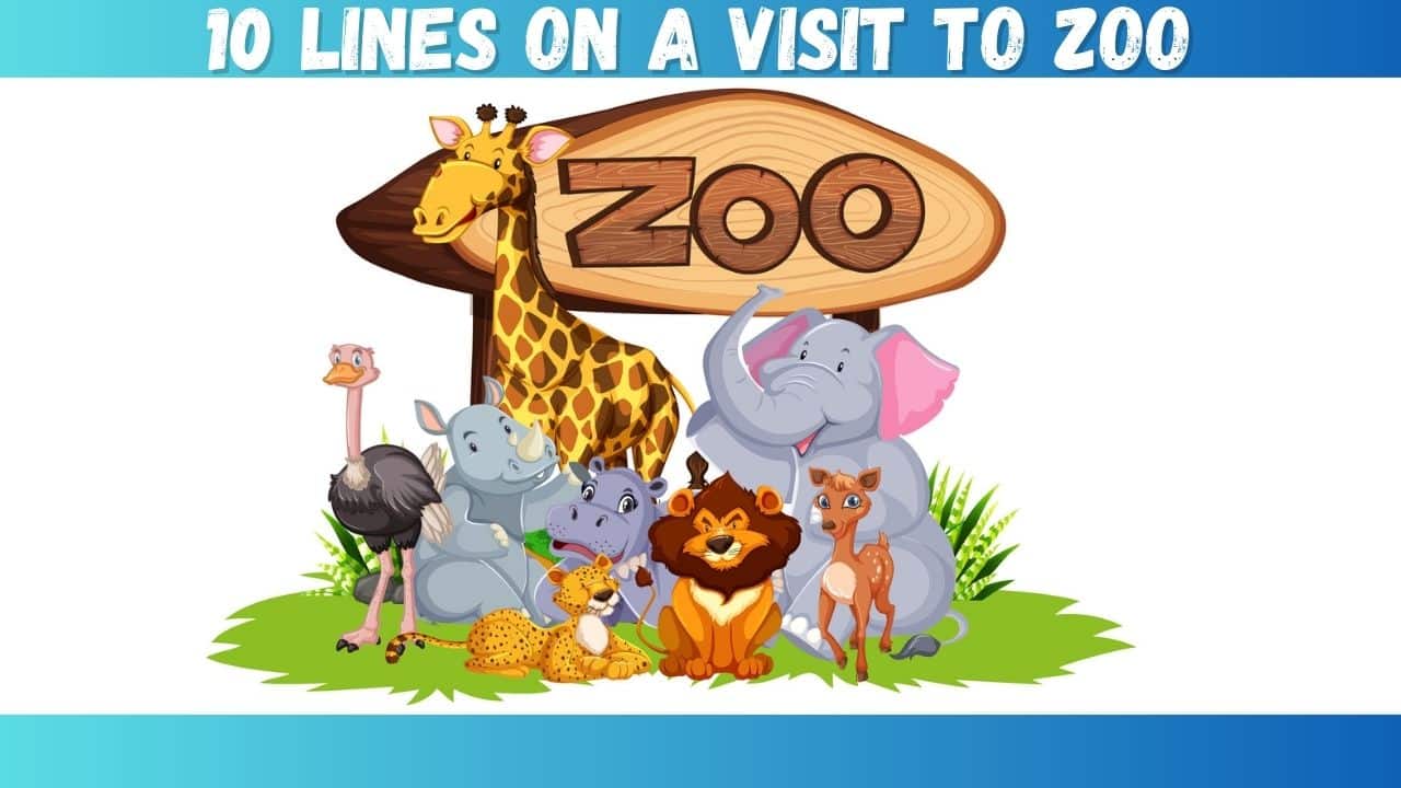a visit to zoo essay for class 2