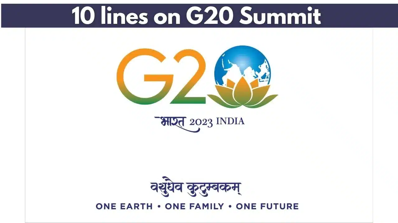essay writing on g20 summit in english